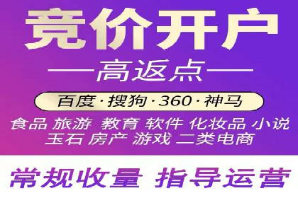 百度竞价排名服务：成功案例解析